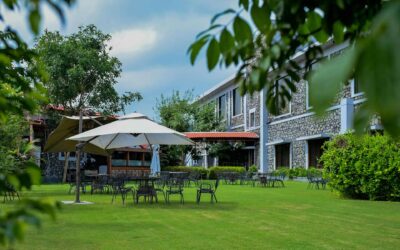 The Role of Hotels in Creating Memorable Travel Experiences